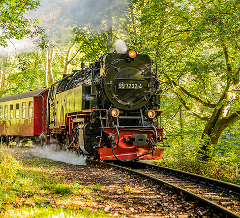 Tour 1: 9 km
Quedlinburg - Birkenmoor - Albrechtshaus - Güntersberge